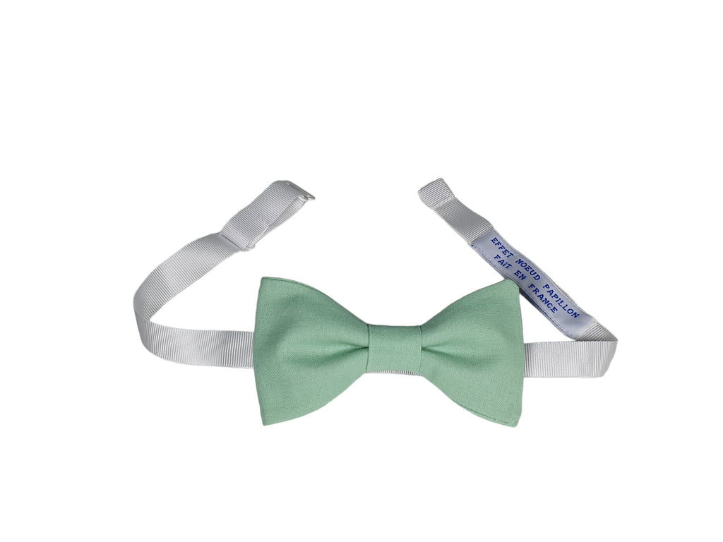 Noeud papillon vert clair