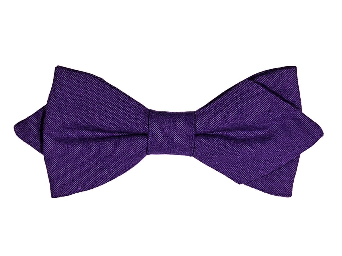 Noeud papillon violet