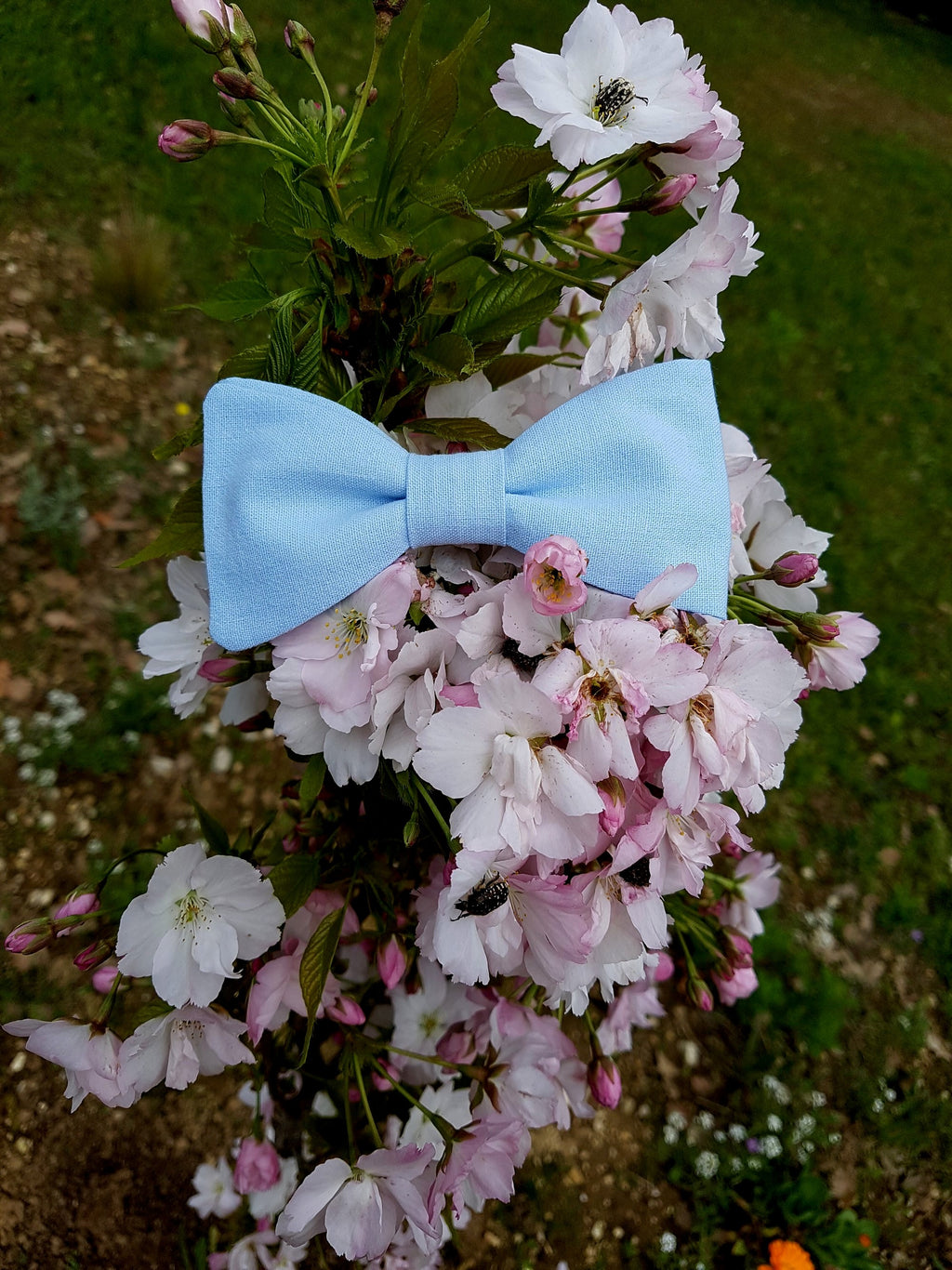 noeud papillon bleu ciel pour homme