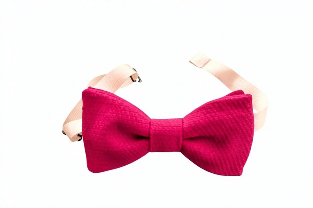 Noeud papillon rose framboise