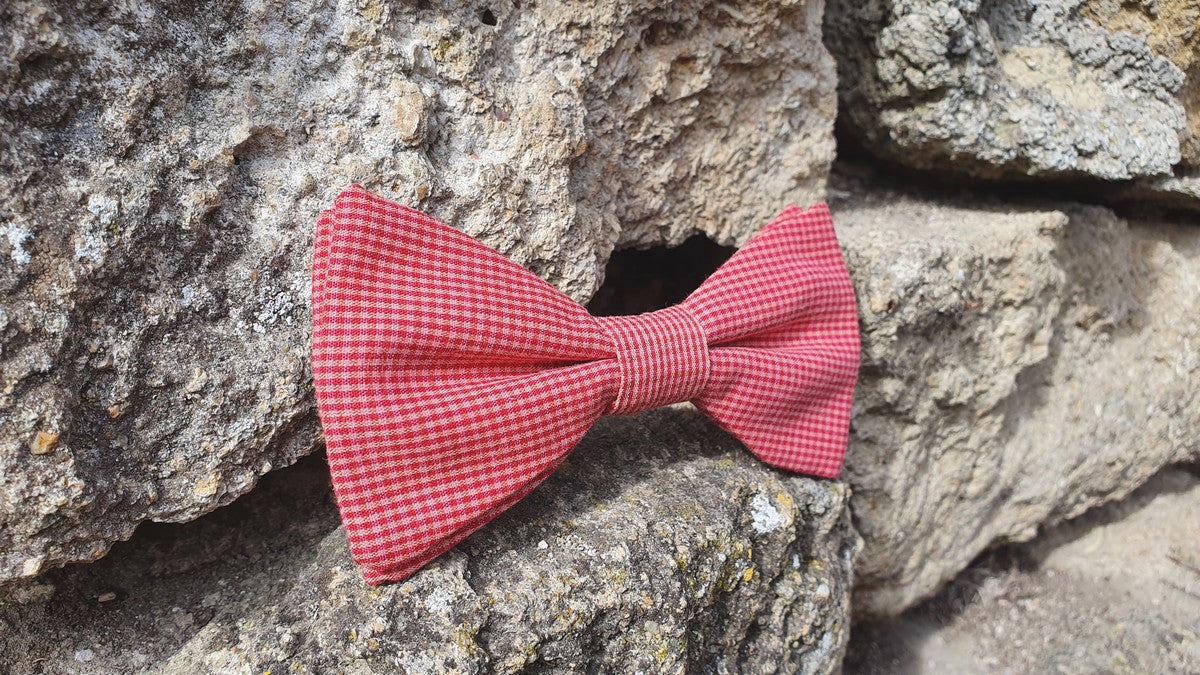 Noeud papillon à carreaux rouges et rose - Effet Noeud Pap