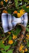 Noeud papillon à carreaux bleus et gris style vintage