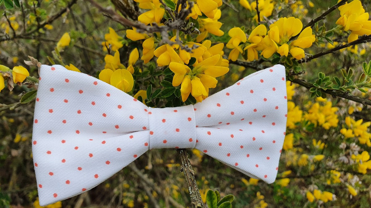 Noeud papillon blanc à pois corail - Effet Noeud Pap