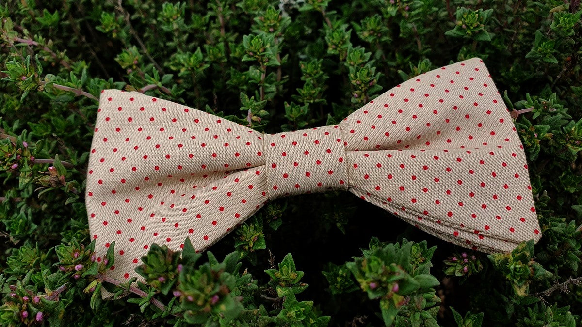 Noeud papillon beige à pois bordeaux - Effet Noeud Pap