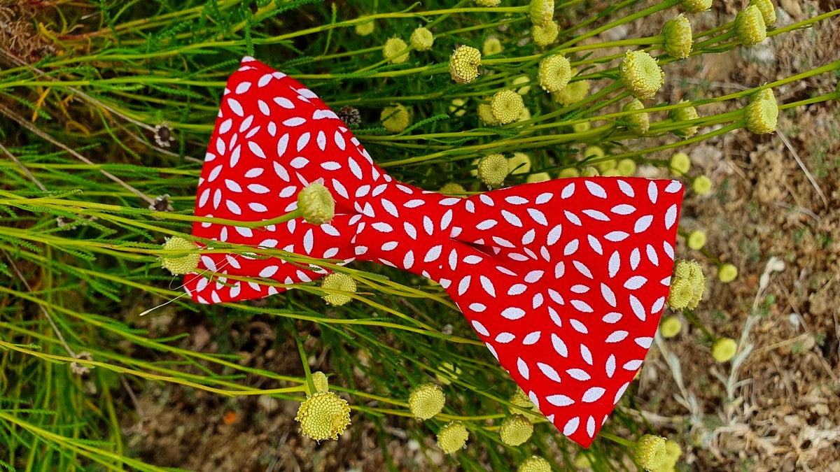 Nœud papillon rouge et blanc pour homme