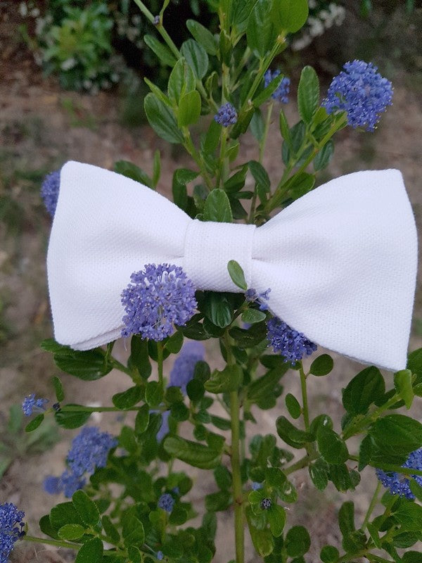 Noeud papillon Point Blanc pour mariage chic