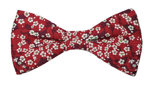 Noeud papillon Liberty rouge et blanc - Effet Noeud Pap