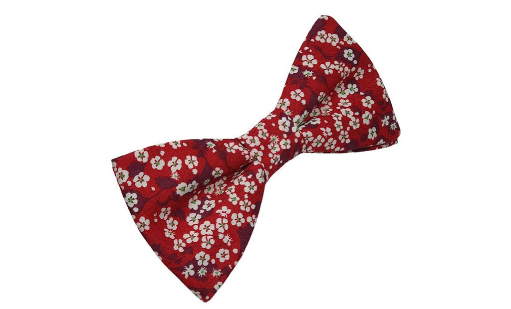 Noeud papillon Liberty rouge et blanc - Effet Noeud Pap