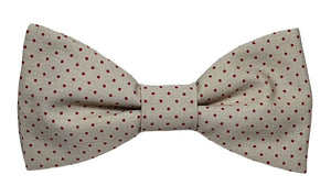 Noeud papillon beige à pois bordeaux