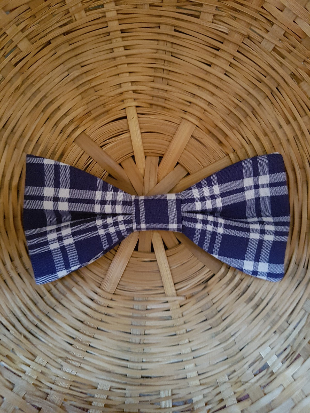 Noeud papillon à carreaux marine Céphalion - Effet Noeud Papillon