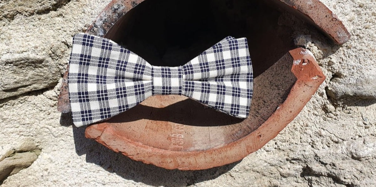 Noeud papillon à carreaux bleus et crème - Effet Noeud Pap