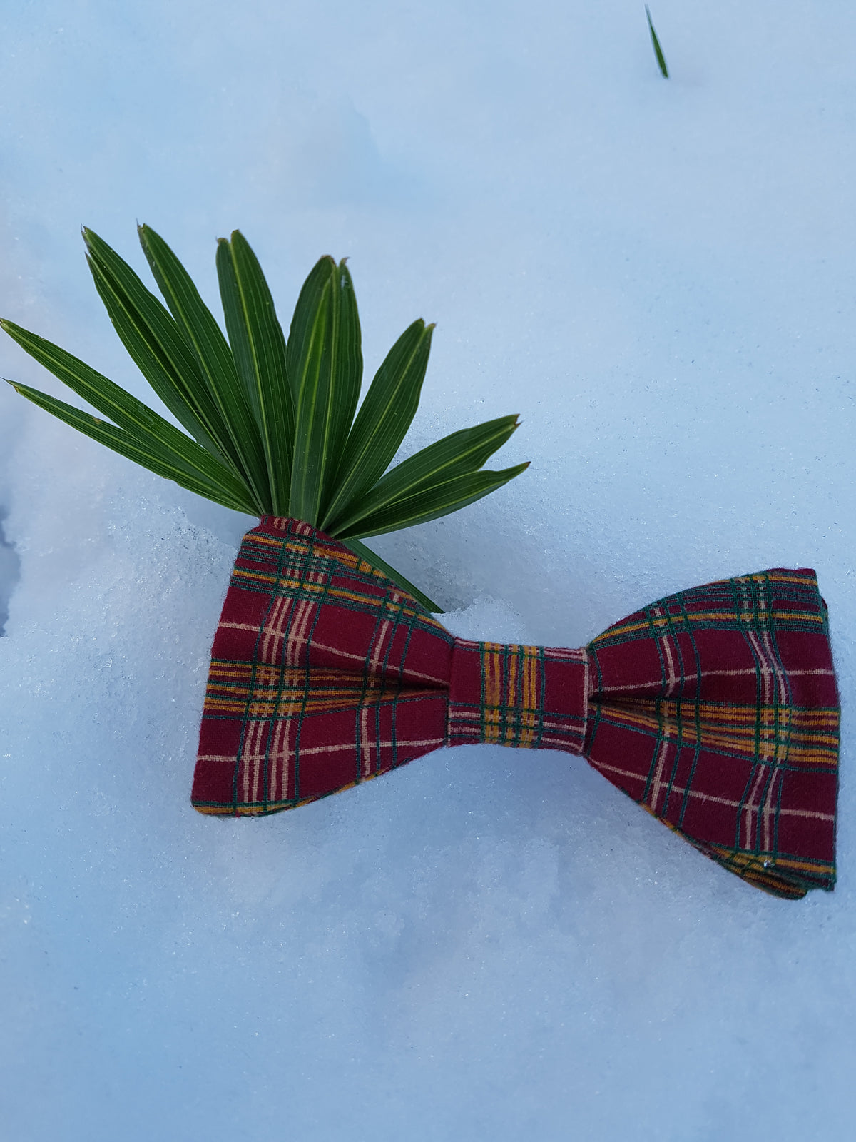 Noeud papillon écossais Flamme rouge - Effet Noeud Papillon