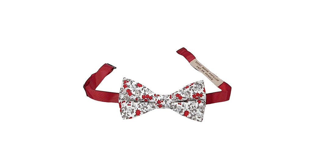 Noeud papillon Liberty blanc rouge et gris avec tour de cou réglable