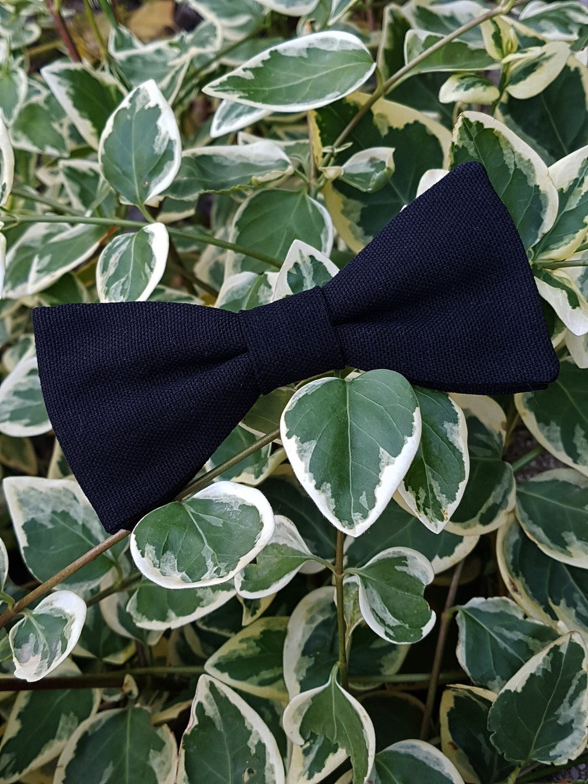 Noeud papillon noir Monarque - Effet Noeud Papillon