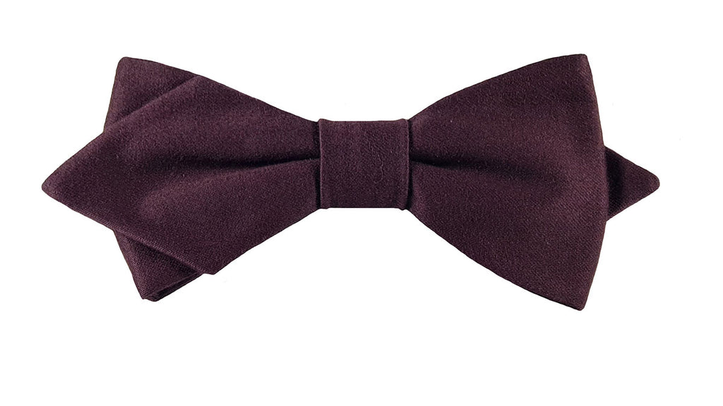 Noeud papillon prune - Effet Noeud Pap