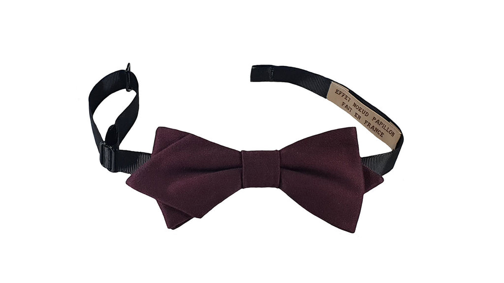 Noeud papillon prune - Effet Noeud Pap