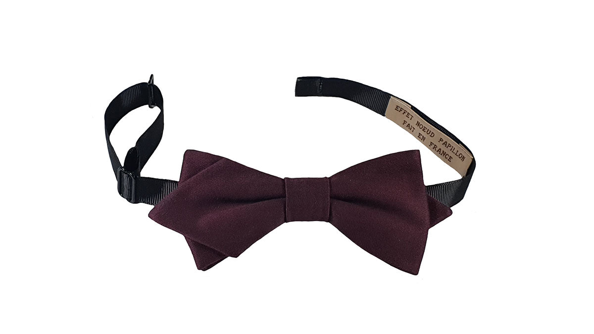 Noeud papillon prune - Effet Noeud Pap
