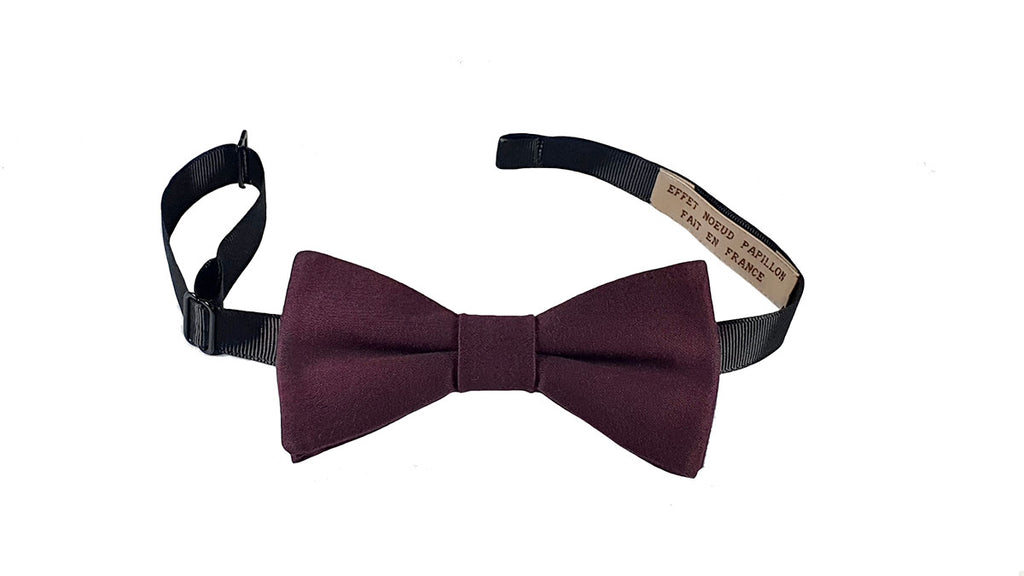 Noeud papillon prune - Effet Noeud Pap