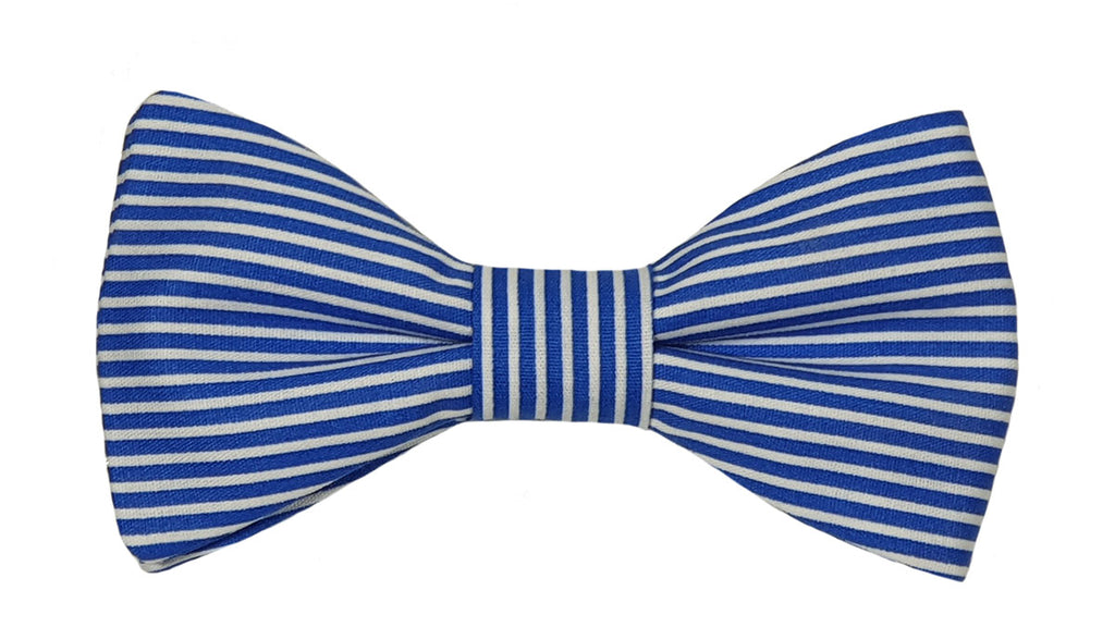 Noeud papillon rayé bleu roi et blanc - Effet Noeud Pap