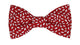 Nœud papillon rouge motifs blancs